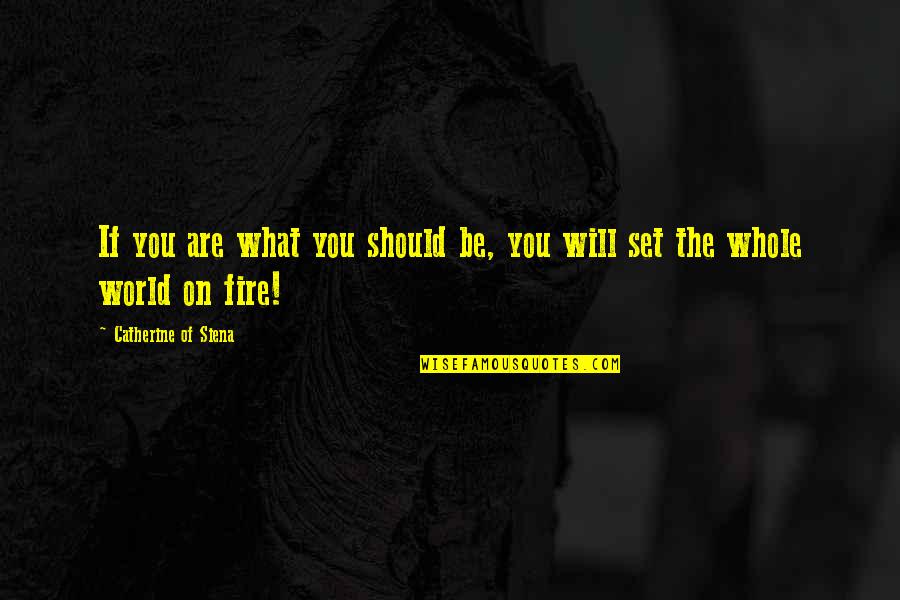 Be On Fire Quotes By Catherine Of Siena: If you are what you should be, you