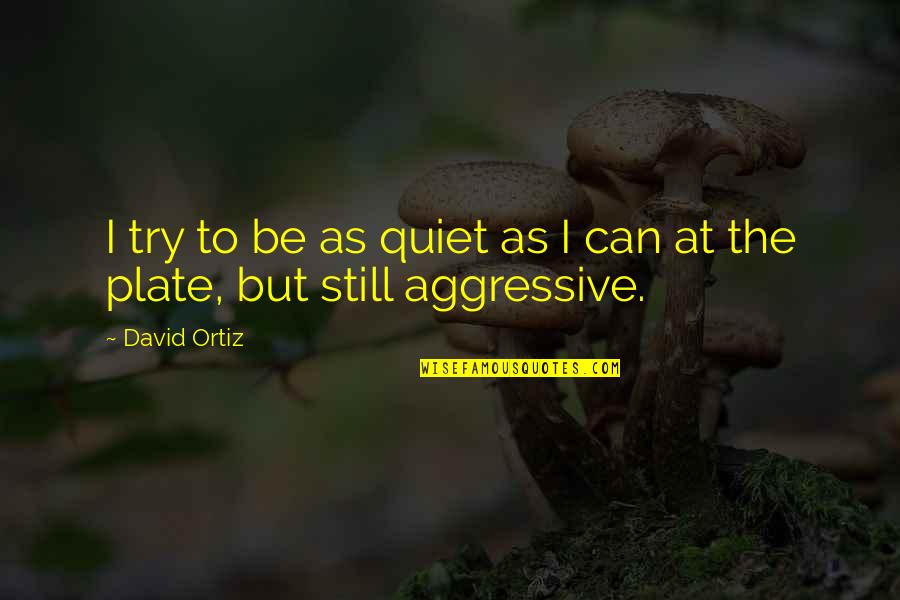 Be Quiet Quotes By David Ortiz: I try to be as quiet as I