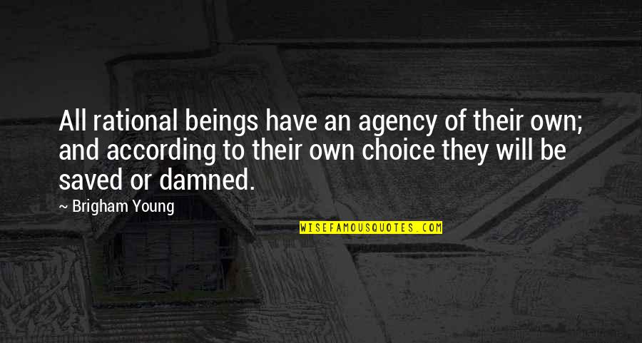 Be Rational Quotes By Brigham Young: All rational beings have an agency of their