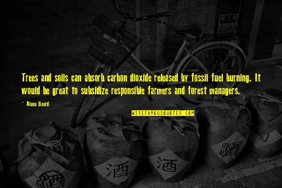 Be Responsible Quotes By Alana Beard: Trees and soils can absorb carbon dioxide released Be Responsible Quotes By Alana Beard: Trees and soils can absorb carbon dioxide released