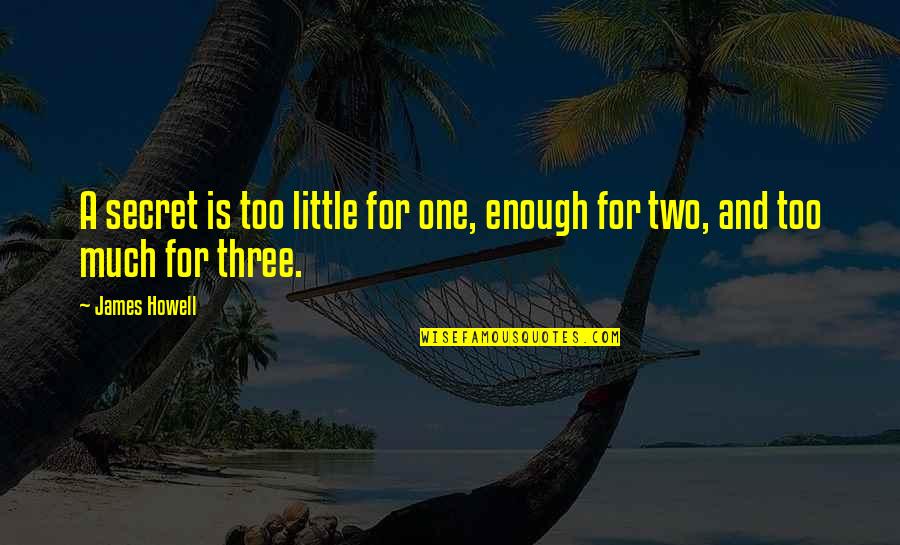 Be Safe Everyone Quotes By James Howell: A secret is too little for one, enough
