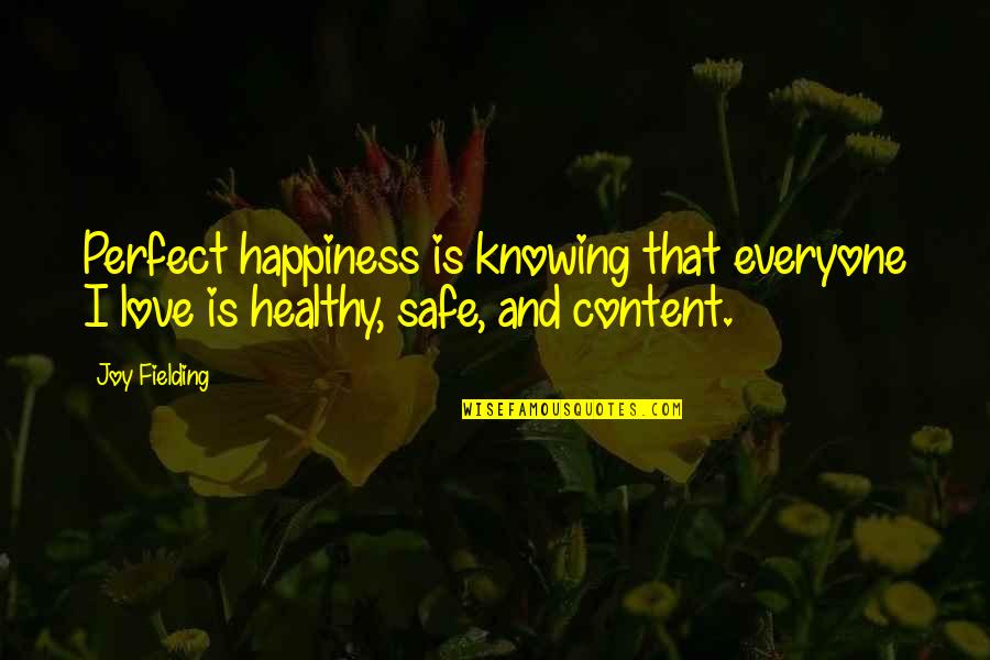 Be Safe Everyone Quotes By Joy Fielding: Perfect happiness is knowing that everyone I love