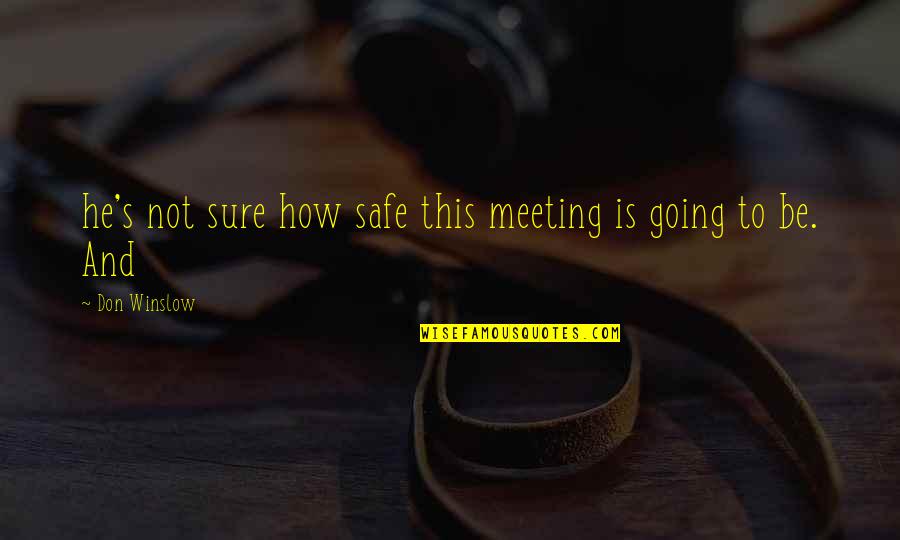 Be Safe Quotes By Don Winslow: he's not sure how safe this meeting is