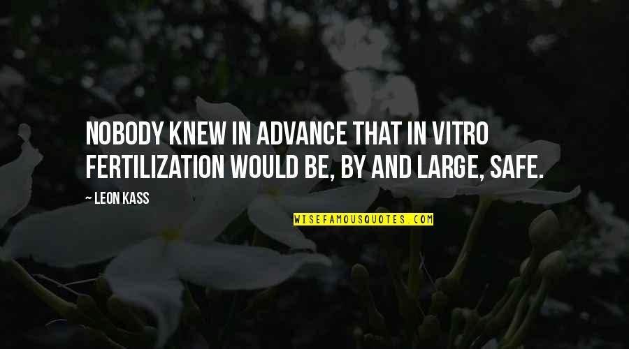 Be Safe Quotes By Leon Kass: Nobody knew in advance that in vitro fertilization