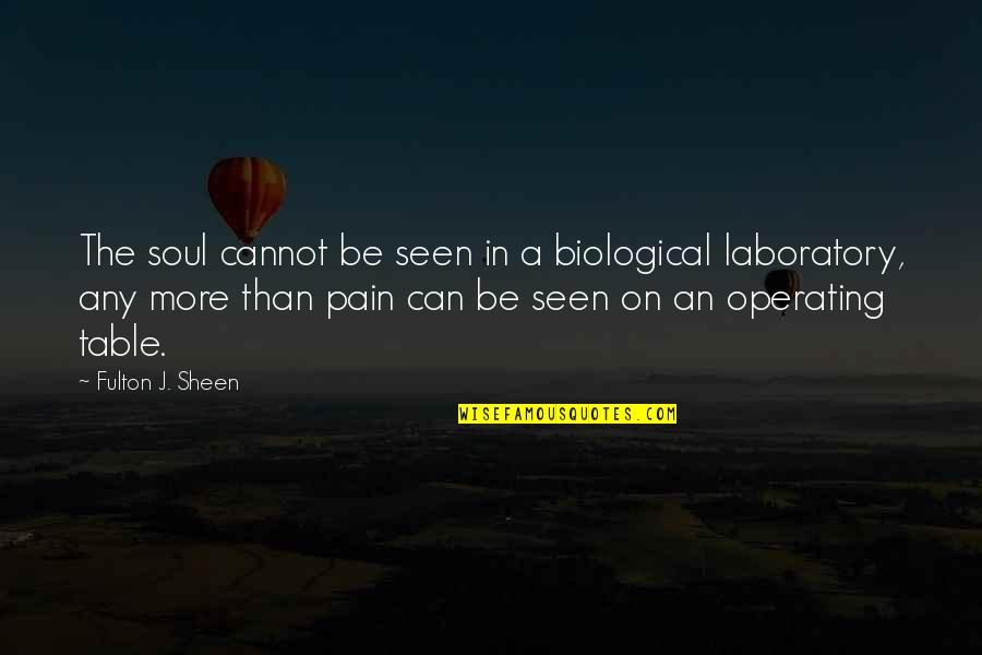 Be Seen Quotes By Fulton J. Sheen: The soul cannot be seen in a biological