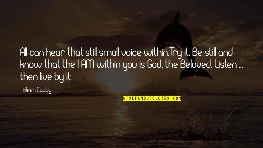 Be Still And Know I Am God Quotes By Eileen Caddy: All can hear that still small voice within.