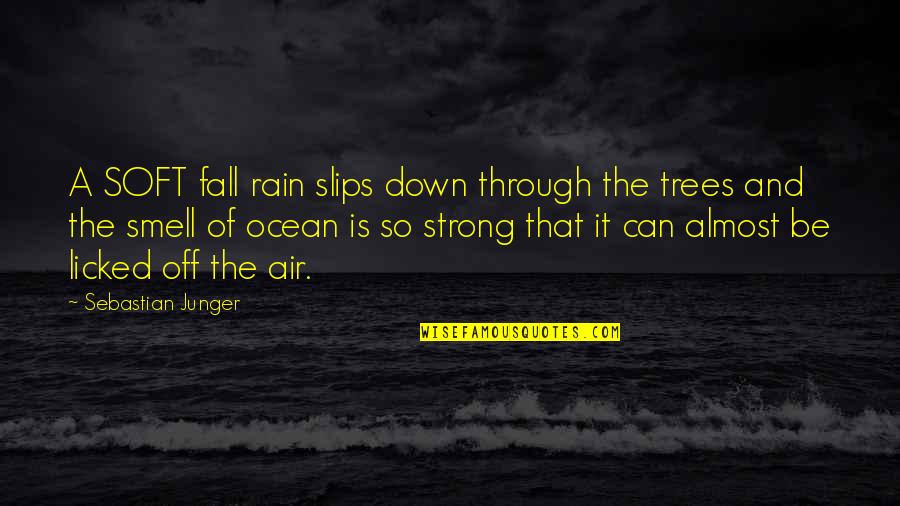 Be Strong Be Quotes By Sebastian Junger: A SOFT fall rain slips down through the