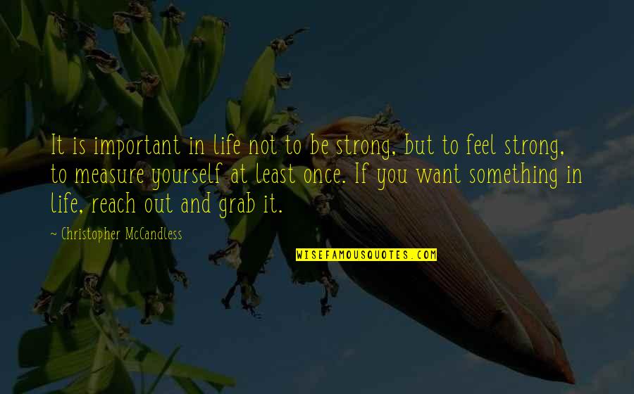Be Strong In Life Quotes By Christopher McCandless: It is important in life not to be Be Strong In Life Quotes By Christopher McCandless: It is important in life not to be