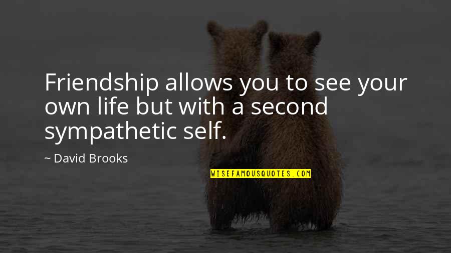 Be Sympathetic Quotes By David Brooks: Friendship allows you to see your own life