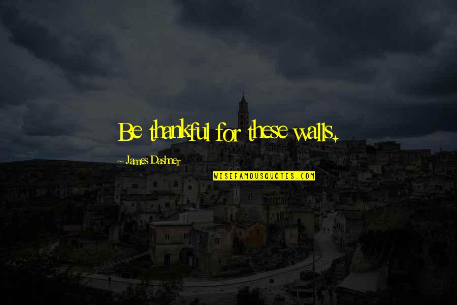 Be Thankful Quotes By James Dashner: Be thankful for these walls.