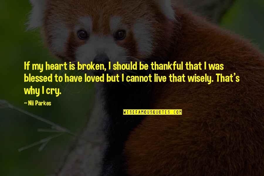 Be Thankful Quotes By Nii Parkes: If my heart is broken, I should be