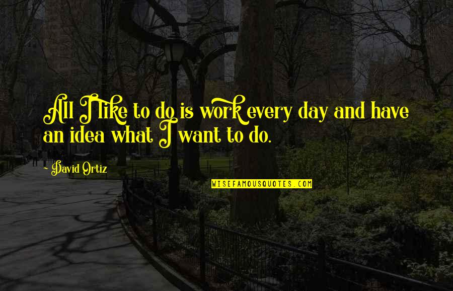 Be The Best At What You Do Quotes By David Ortiz: All I like to do is work every