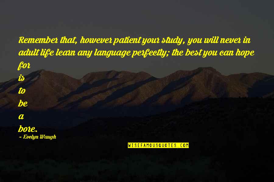 Be The Best You Can Quotes By Evelyn Waugh: Remember that, however patient your study, you will