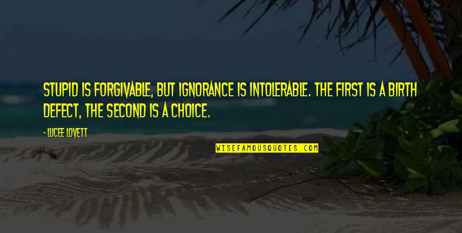 Be The First Choice Quotes By Lucee Lovett: Stupid is forgivable, but ignorance is intolerable. The