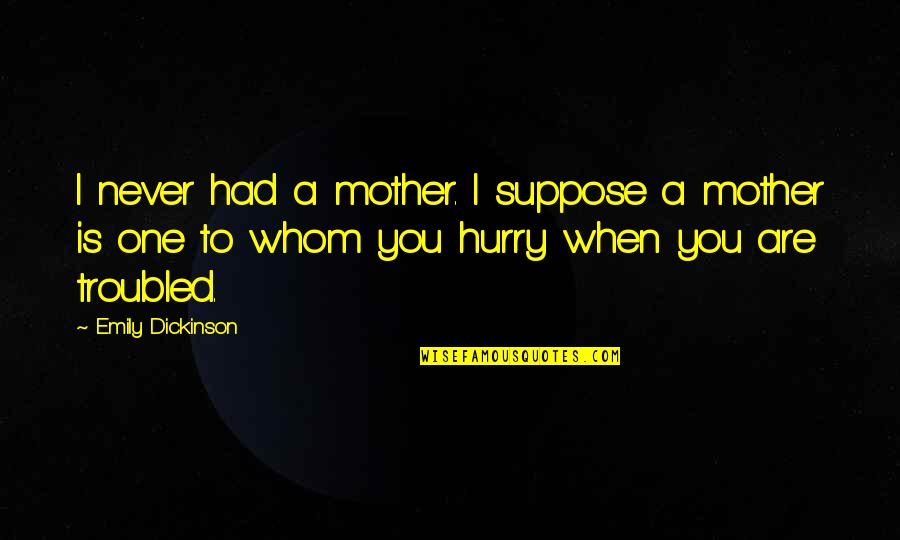 Be The Mother You Never You Had Quotes By Emily Dickinson: I never had a mother. I suppose a