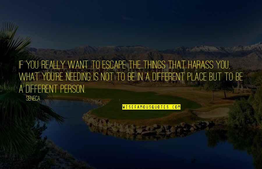 Be The Person You Want To Be Quotes By Seneca.: If you really want to escape the things