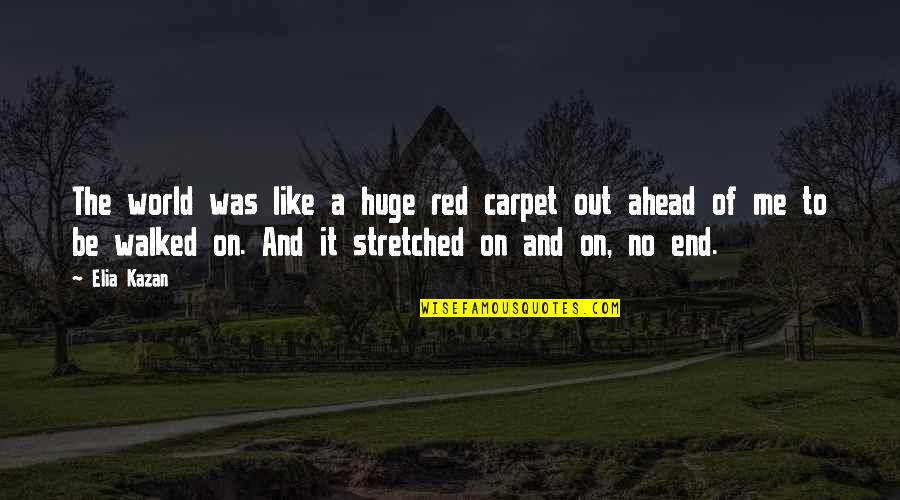 Be The Red Quotes By Elia Kazan: The world was like a huge red carpet
