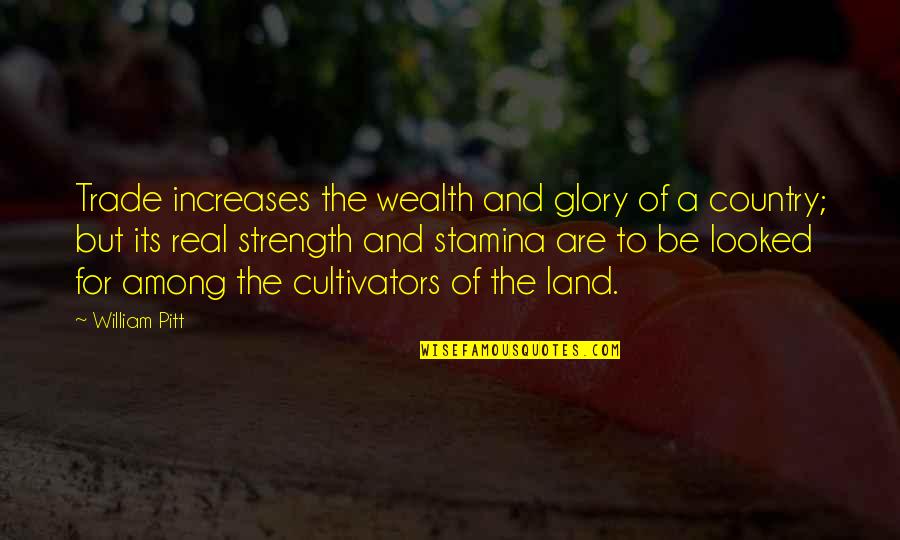 Be The Strength Quotes By William Pitt: Trade increases the wealth and glory of a