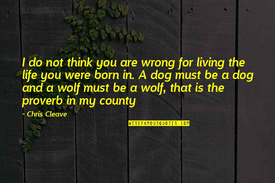 Be The Wolf Quotes By Chris Cleave: I do not think you are wrong for