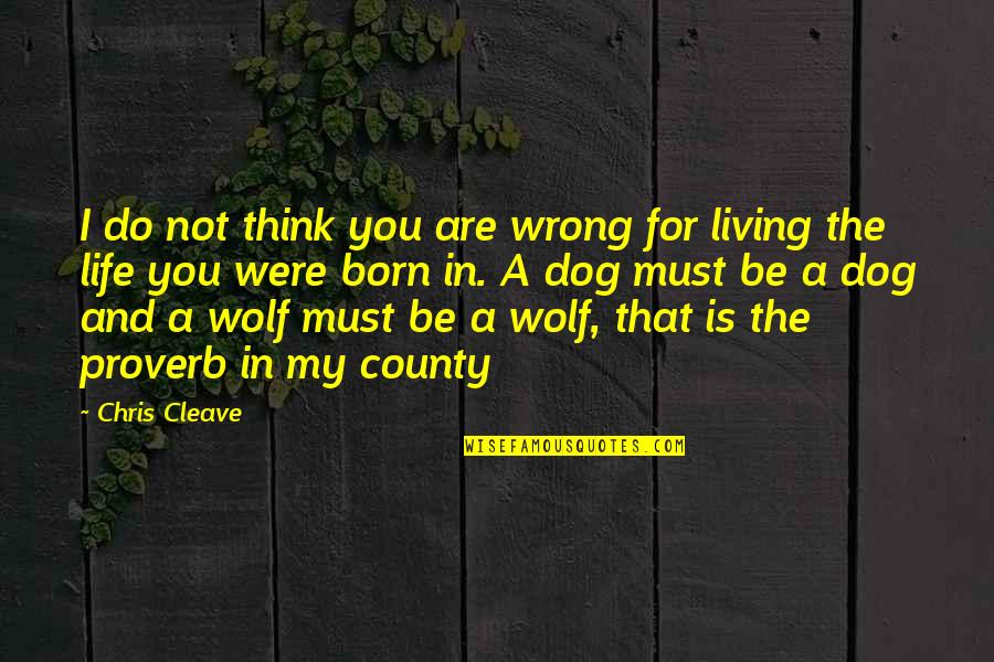 Be The Wolf Quotes By Chris Cleave: I do not think you are wrong for Be The Wolf Quotes By Chris Cleave: I do not think you are wrong for