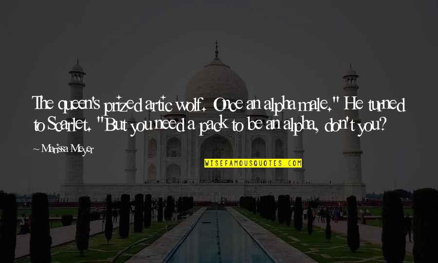 Be The Wolf Quotes By Marissa Meyer: The queen's prized artic wolf. Once an alpha Be The Wolf Quotes By Marissa Meyer: The queen's prized artic wolf. Once an alpha