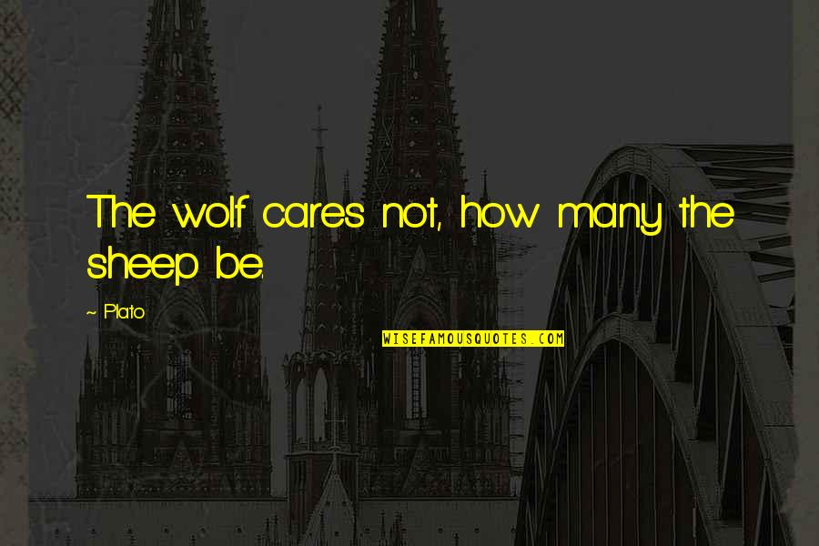 Be The Wolf Quotes By Plato: The wolf cares not, how many the sheep