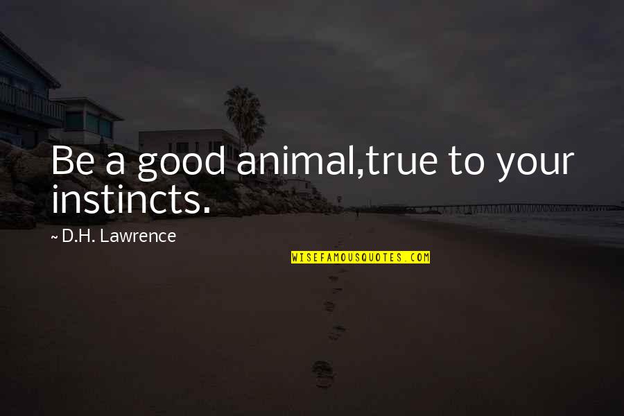 Be True Quotes By D.H. Lawrence: Be a good animal,true to your instincts.