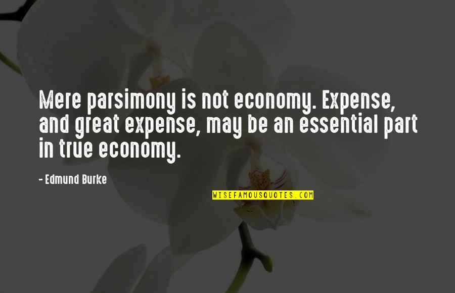 Be True Quotes By Edmund Burke: Mere parsimony is not economy. Expense, and great