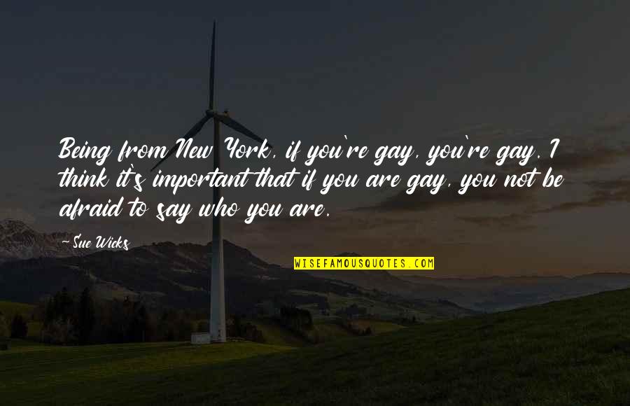 Be Who You Say You Are Quotes By Sue Wicks: Being from New York, if you're gay, you're