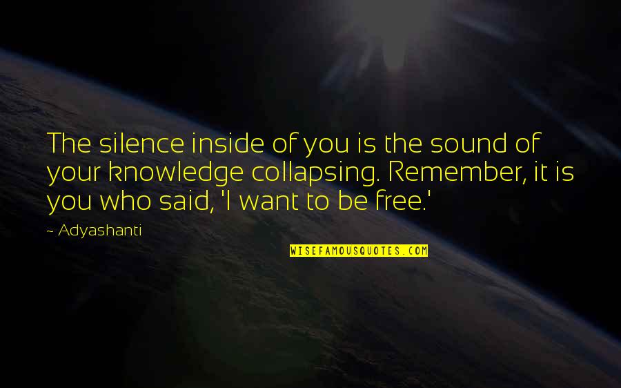 Be Who You Want Quotes By Adyashanti: The silence inside of you is the sound