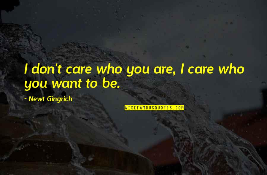 Be Who You Want Quotes By Newt Gingrich: I don't care who you are, I care