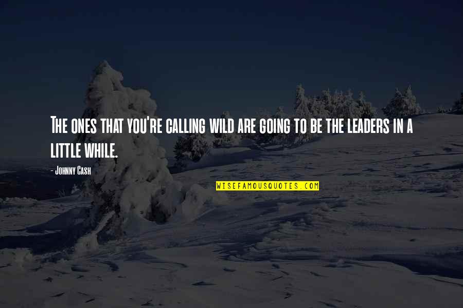 Be Wild Quotes By Johnny Cash: The ones that you're calling wild are going