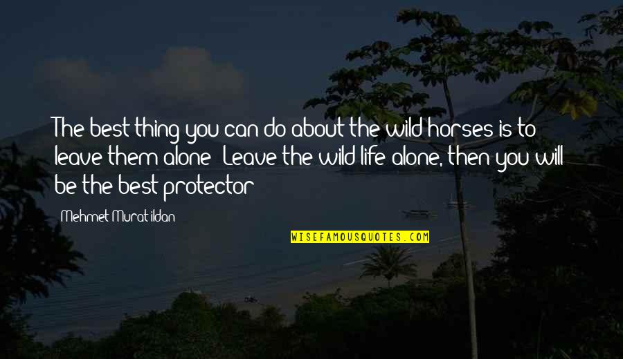 Be Wild Quotes By Mehmet Murat Ildan: The best thing you can do about the