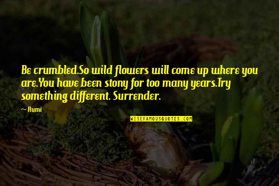 Be Wild Quotes By Rumi: Be crumbled.So wild flowers will come up where