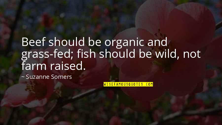 Be Wild Quotes By Suzanne Somers: Beef should be organic and grass-fed; fish should