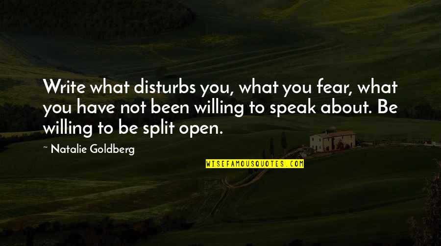 Be Willing Quotes By Natalie Goldberg: Write what disturbs you, what you fear, what