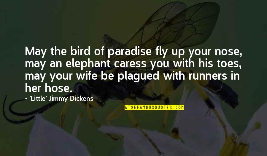 Be With Her Quotes By 'Little' Jimmy Dickens: May the bird of paradise fly up your