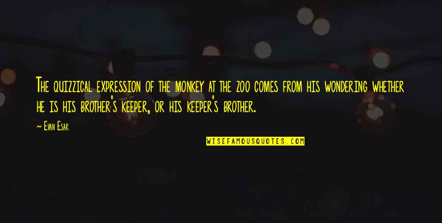 Be Your Brother's Keeper Quotes By Evan Esar: The quizzical expression of the monkey at the