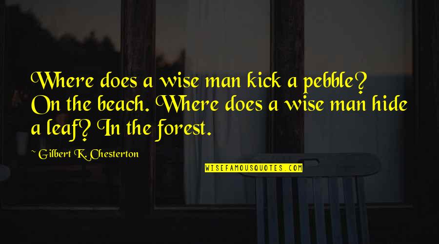 Beach And Ocean Quotes By Gilbert K. Chesterton: Where does a wise man kick a pebble?