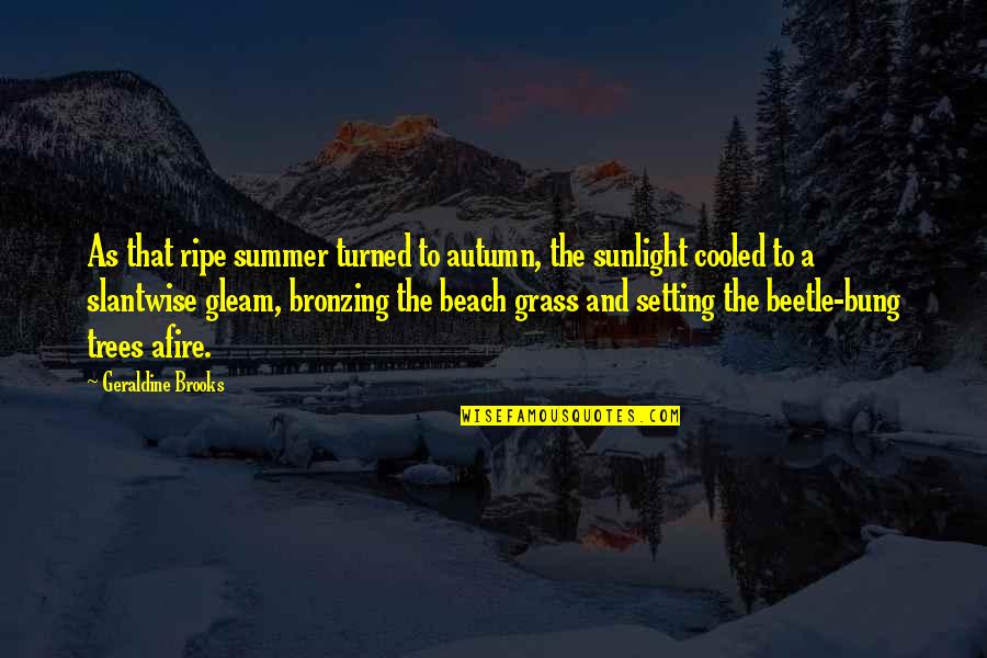 Beach And Quotes By Geraldine Brooks: As that ripe summer turned to autumn, the