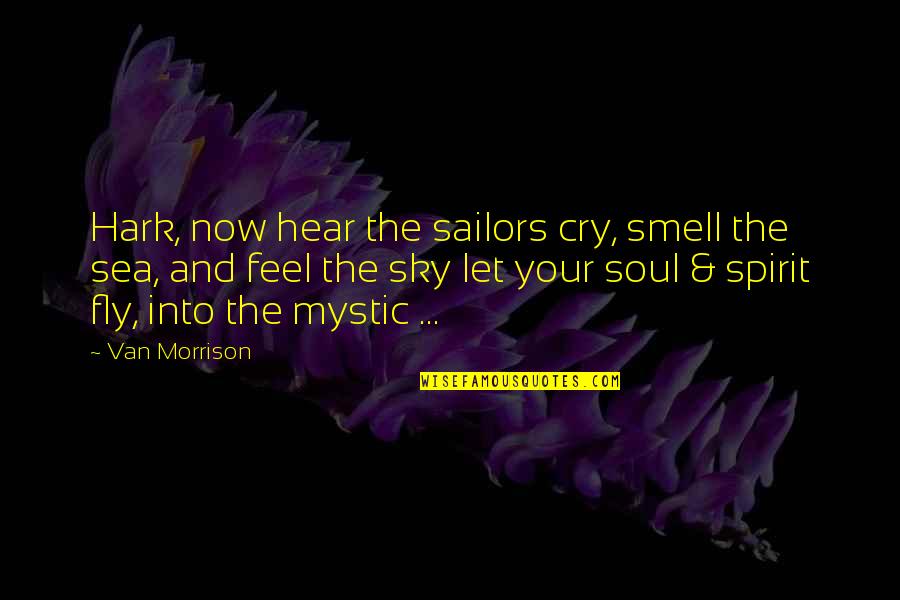 Beach And Quotes By Van Morrison: Hark, now hear the sailors cry, smell the