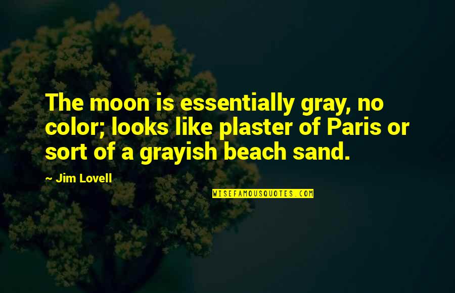 Beach And Sand Quotes By Jim Lovell: The moon is essentially gray, no color; looks