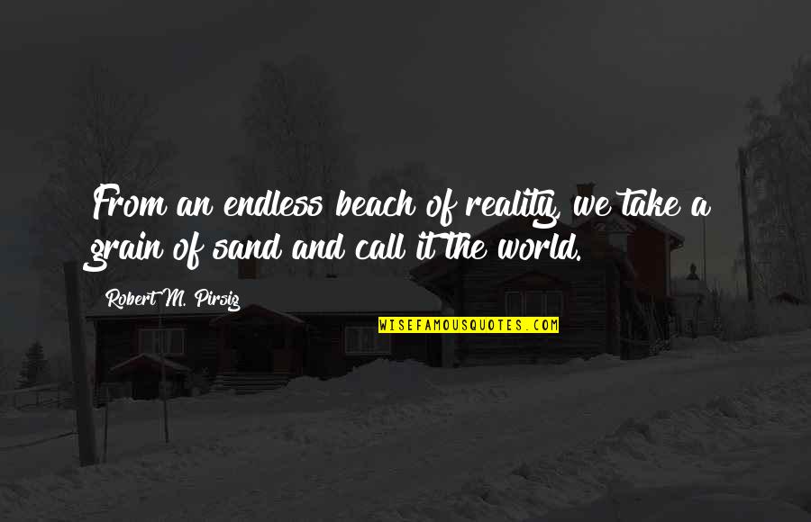 Beach And Sand Quotes By Robert M. Pirsig: From an endless beach of reality, we take