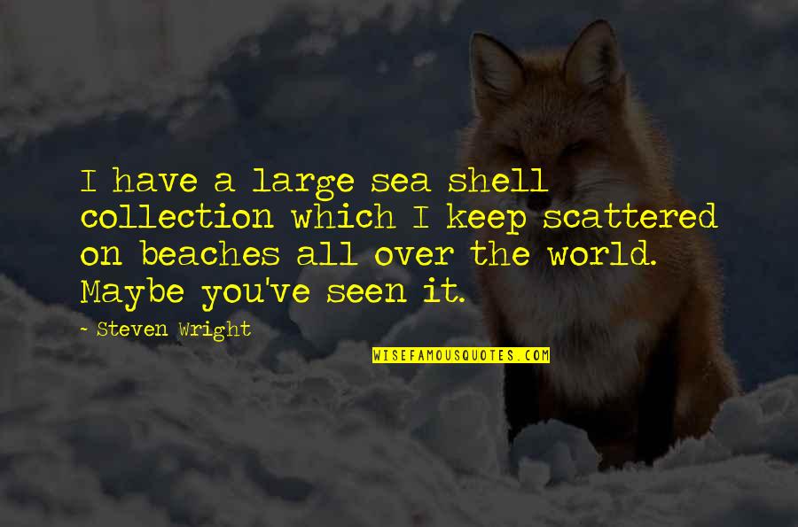 Beach And Sea Quotes By Steven Wright: I have a large sea shell collection which