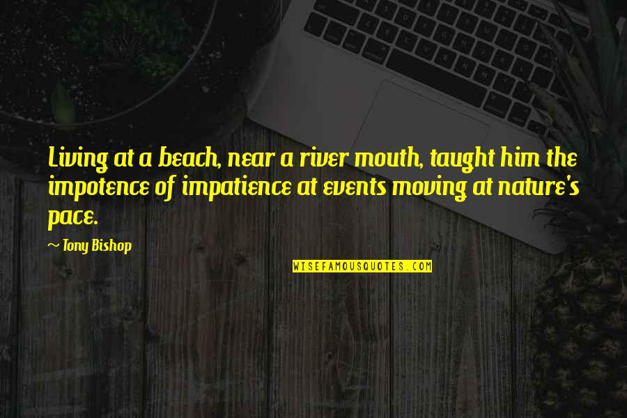 Beach And Sea Quotes By Tony Bishop: Living at a beach, near a river mouth, Beach And Sea Quotes By Tony Bishop: Living at a beach, near a river mouth,