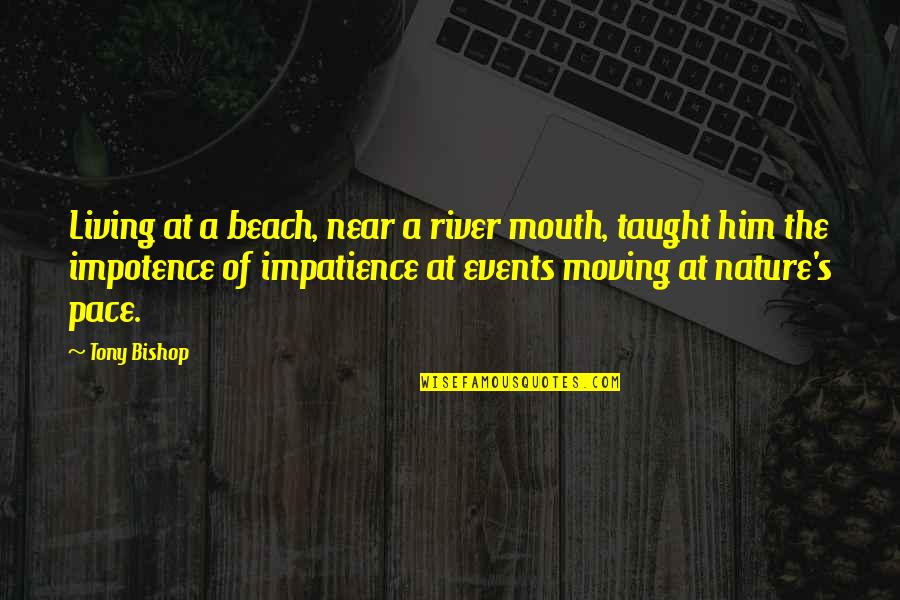 Beach And Sea Quotes By Tony Bishop: Living at a beach, near a river mouth,