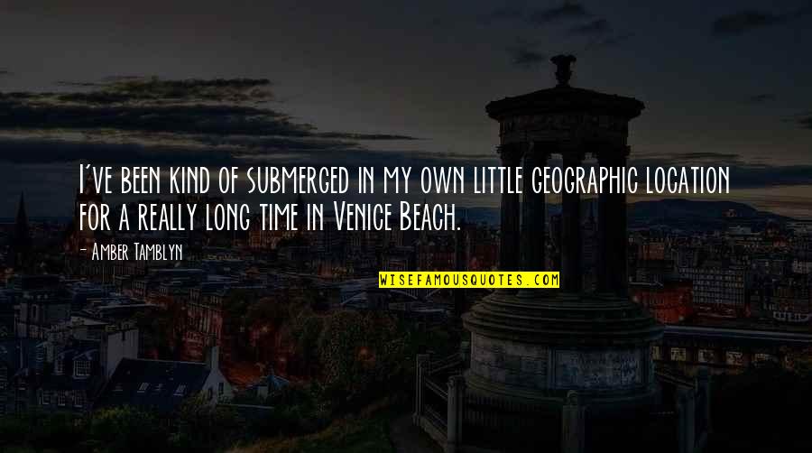 Beach And Time Quotes By Amber Tamblyn: I've been kind of submerged in my own