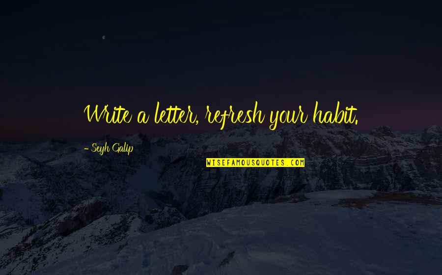 Beach Ball Quotes By Seyh Galip: Write a letter, refresh your habit.