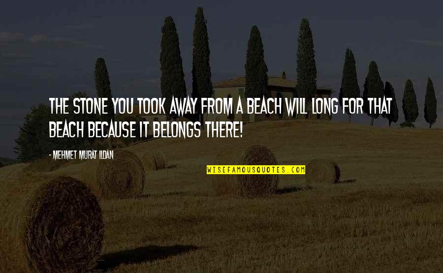 Beach Quotes And Quotes By Mehmet Murat Ildan: The stone you took away from a beach