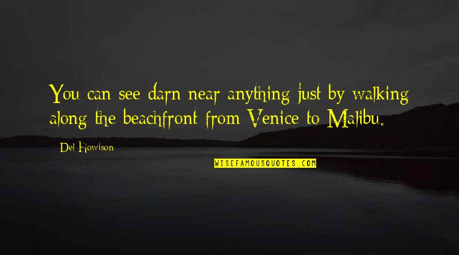 Beach Quotes By Del Howison: You can see darn near anything just by